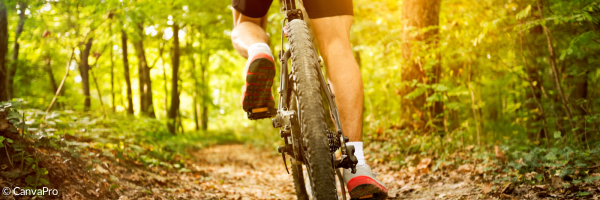 ein Mann fährt mit dem Fahrrad durch einen Wald