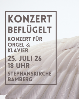 ein weißer Flügel von einem großen Vogel