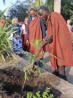 Zwei Menschen pflanzen einen Baum in Tansania