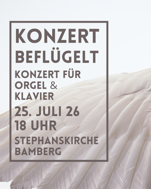 ein weißer Flügel von einem großen Vogel